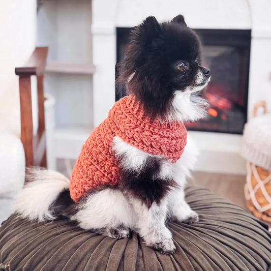 Cozy Pet Sweater Crochet Pattern - Hooked Patterns